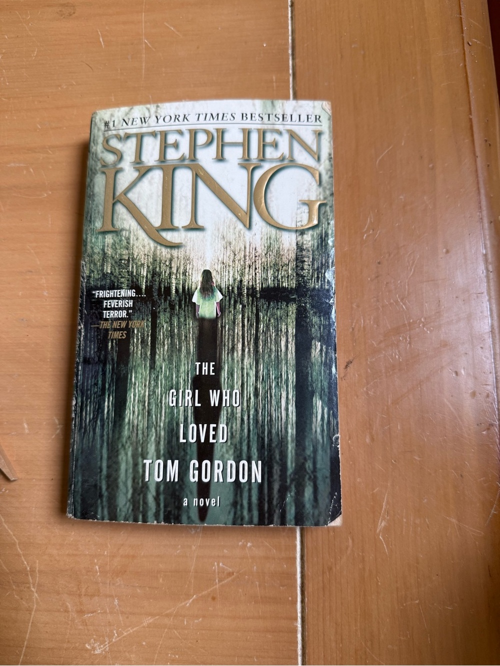 The Girl Who Loved Tom Gordon - Green Paperback Novel